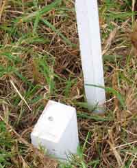 New Line Peg