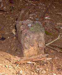 Old Boundary Peg